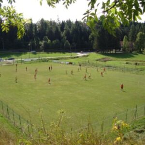 calcio3